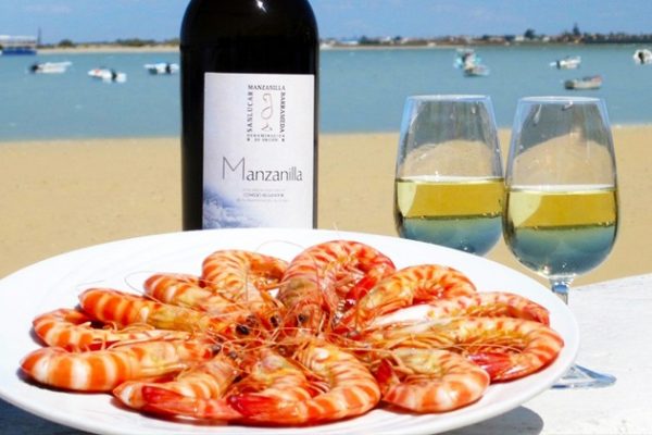 Vacaciones en la Feria de la manzanilla en Sanlúcar de Barrameda